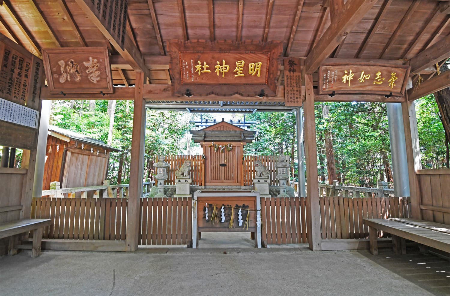 dsc_0924v.jpg
